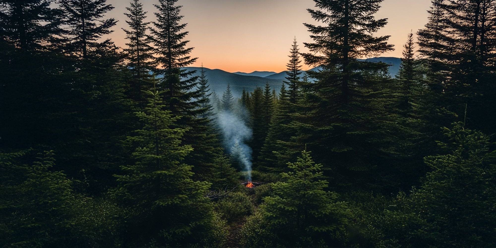 Forest scene with a fire and smoke at sunset
